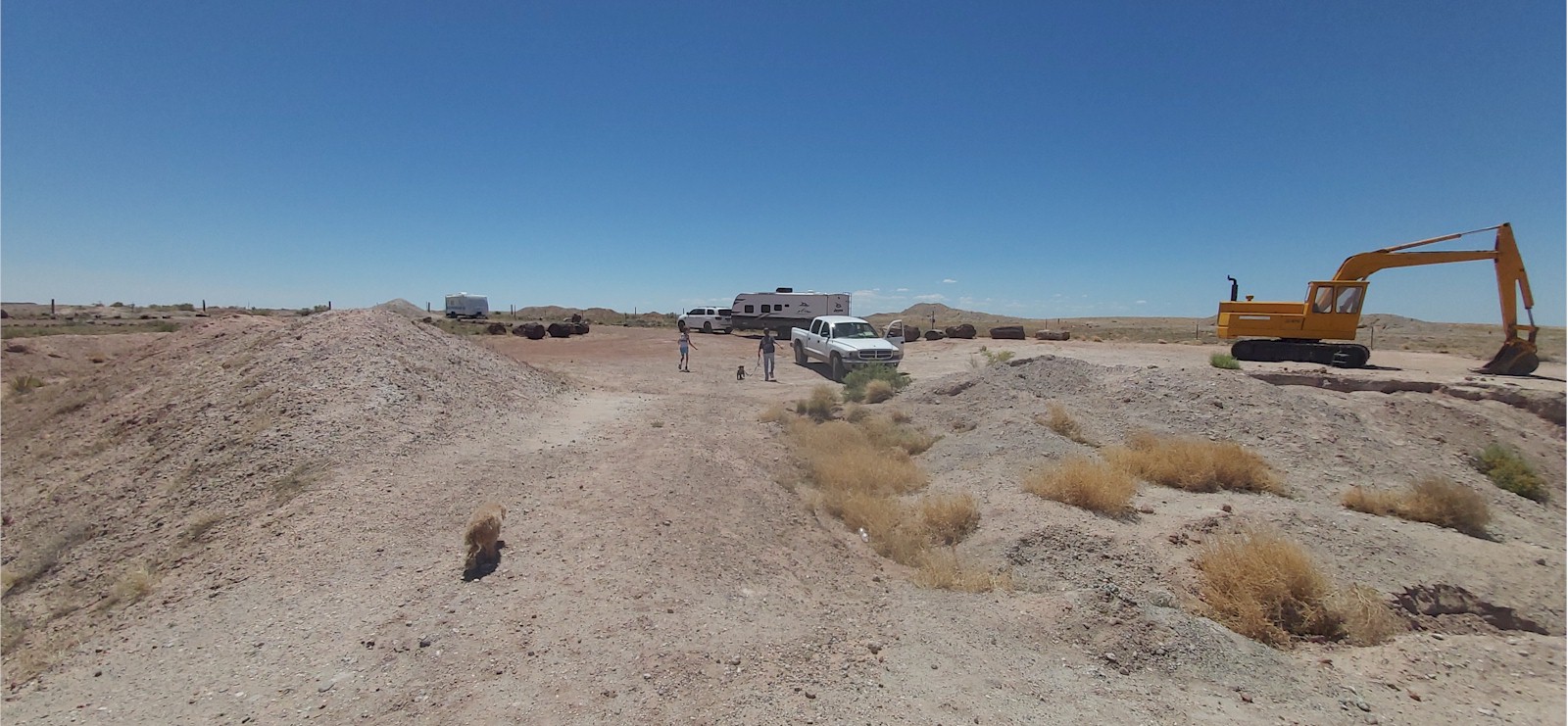 Rhonda's Dig Site - Dig Petrified Wood in Holbrook, Arizona