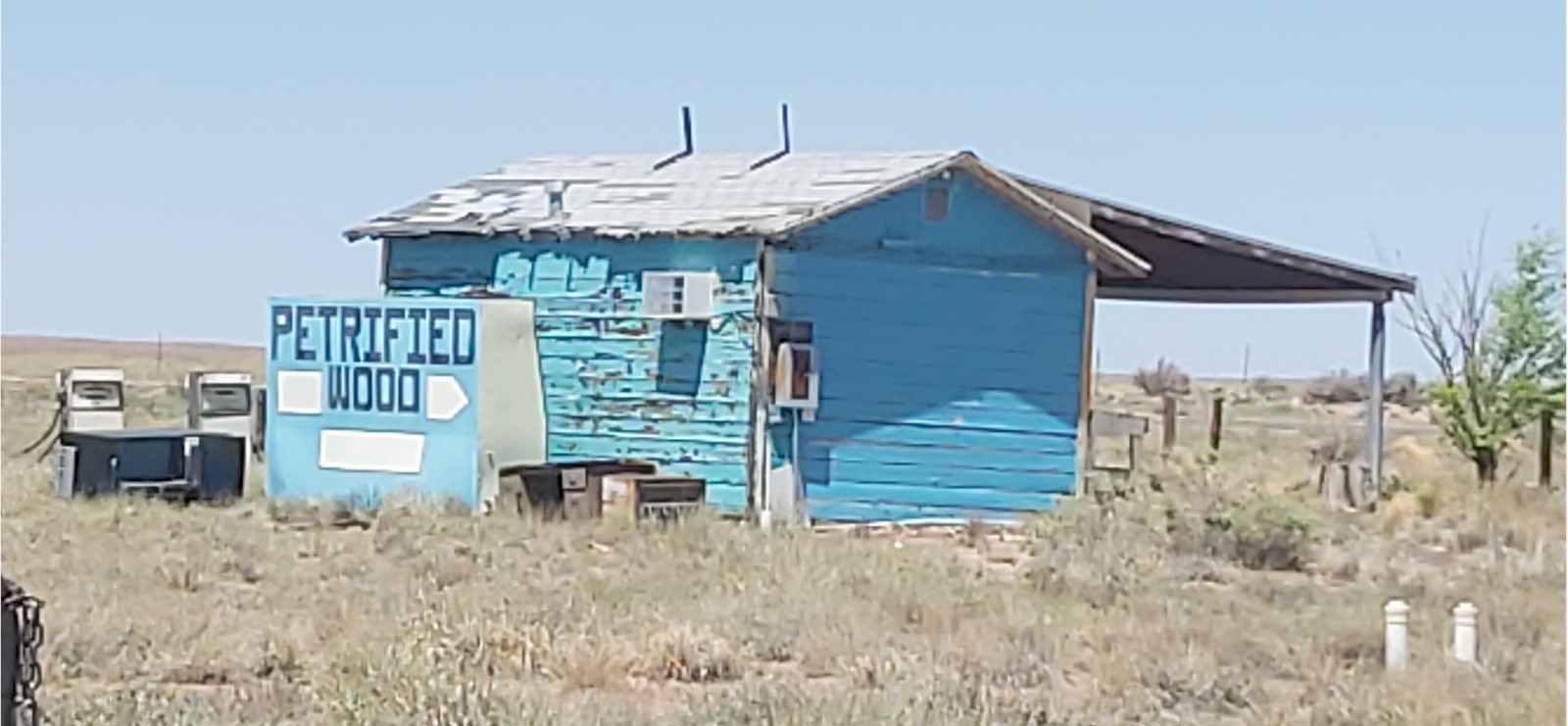 Rhonda's Dig Site - Dig Petrified Wood in Holbrook, Arizona