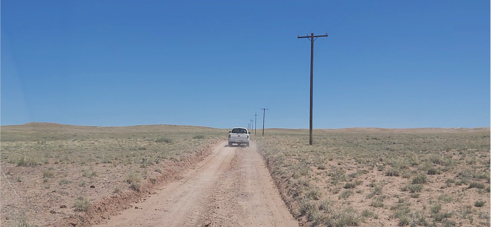 Rhonda's Dig Site - Dig Petrified Wood in Holbrook, Arizona